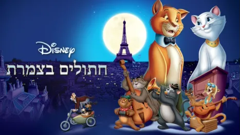 thumbnail - חתולים בצמרת