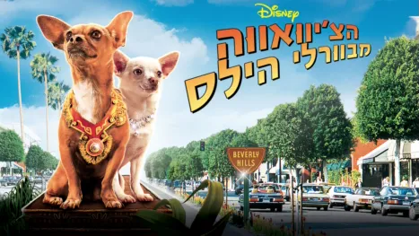 thumbnail - הצ'יוואווה מבוורלי הילס
