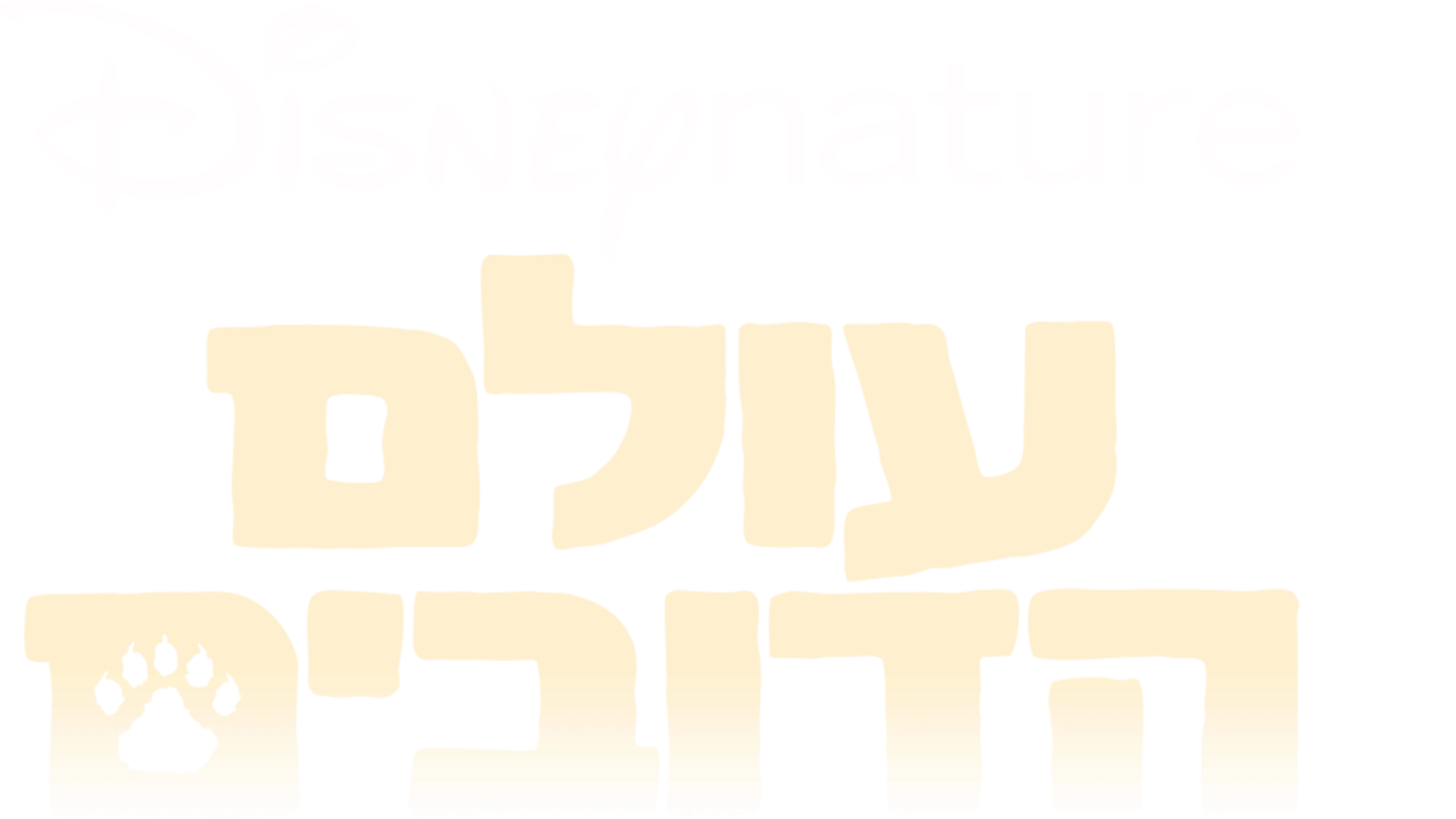 עולם הדובים