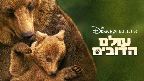 thumbnail - עולם הדובים