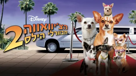 thumbnail - הצ'יוואווה מבוורלי הילס 2