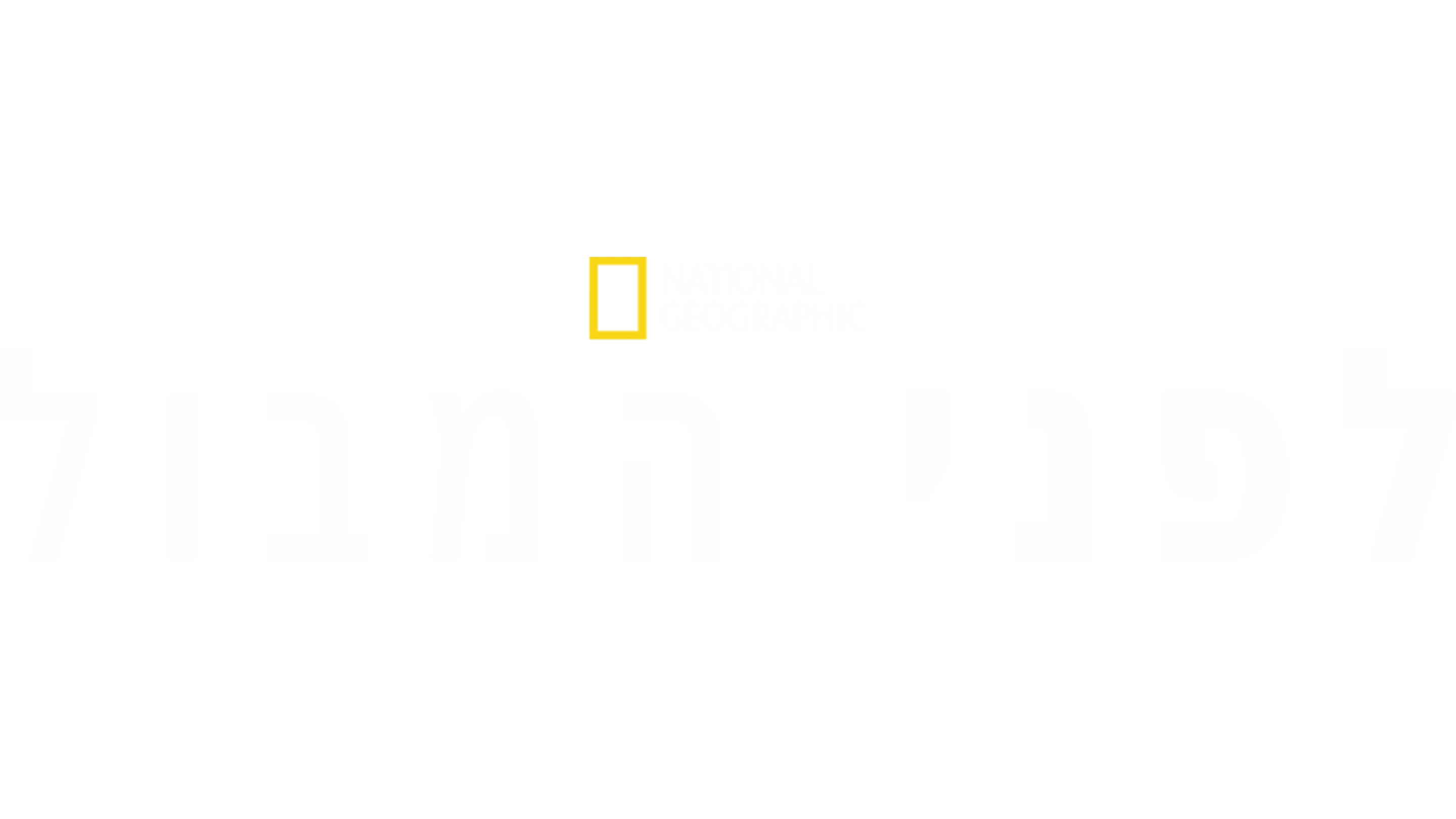 לפני המבול