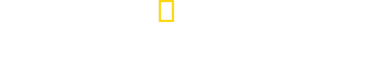 לפני המבול