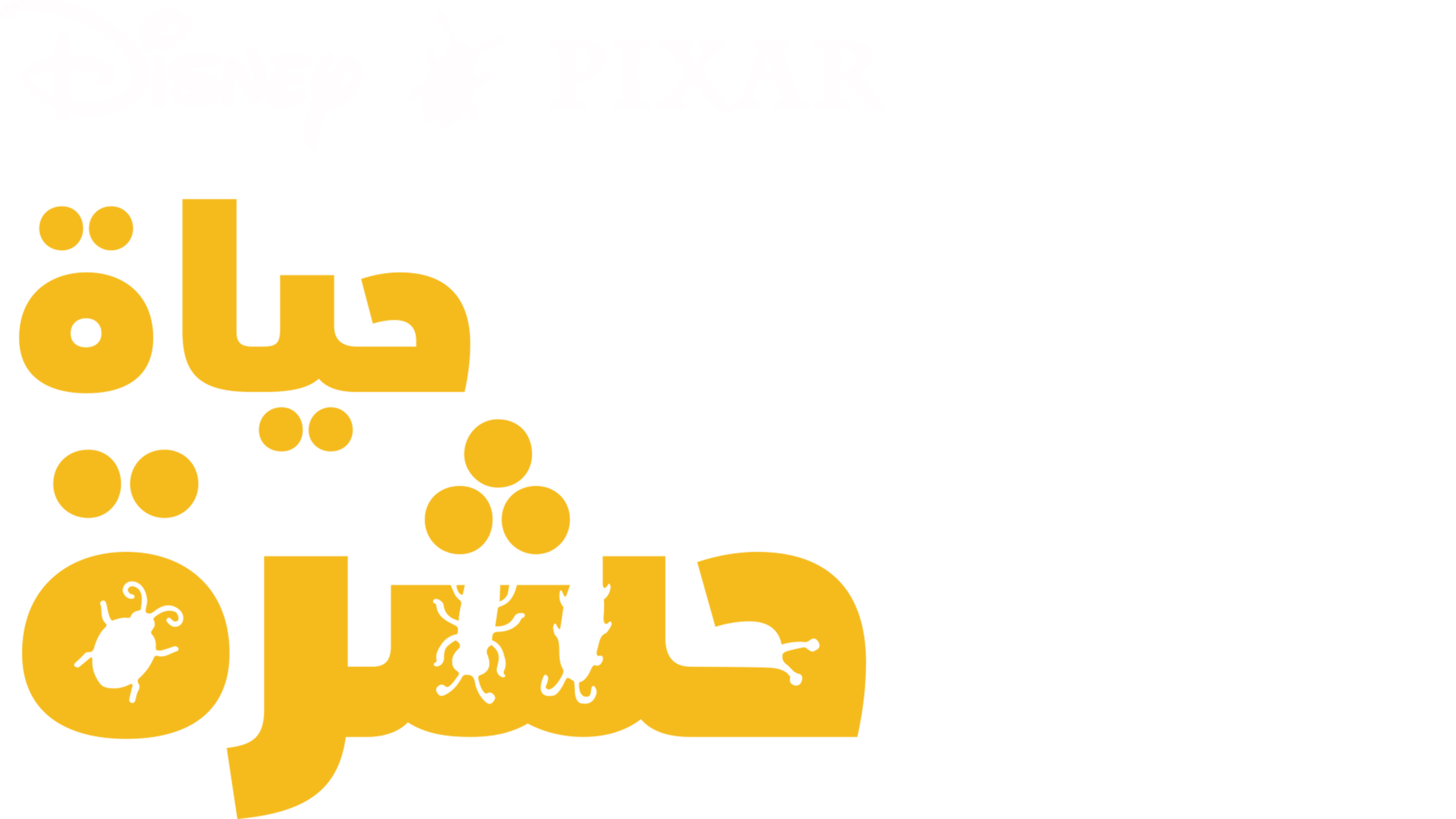 حياة حشرة