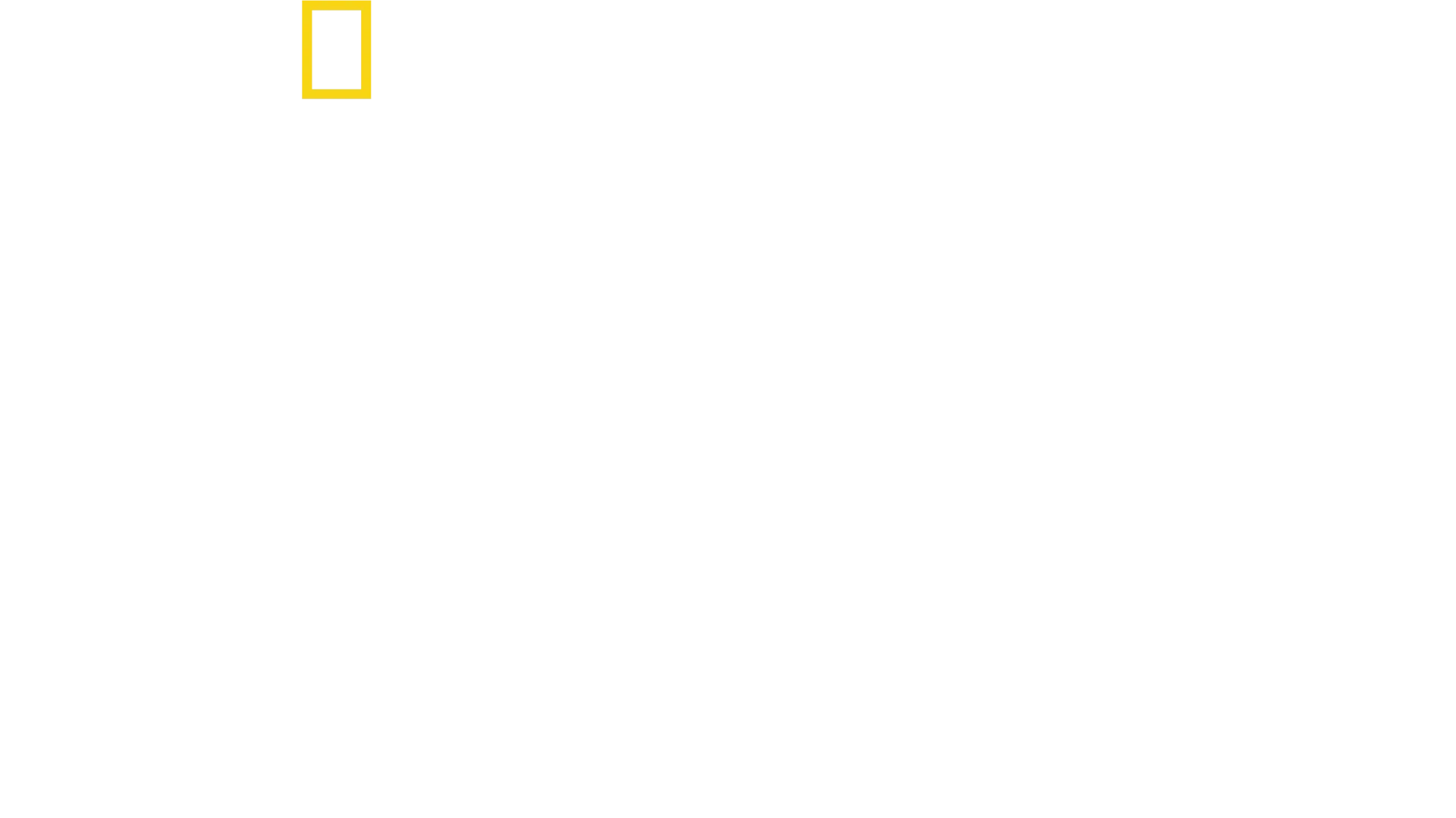 בלינק