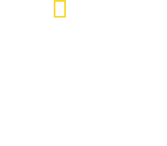 בלינק