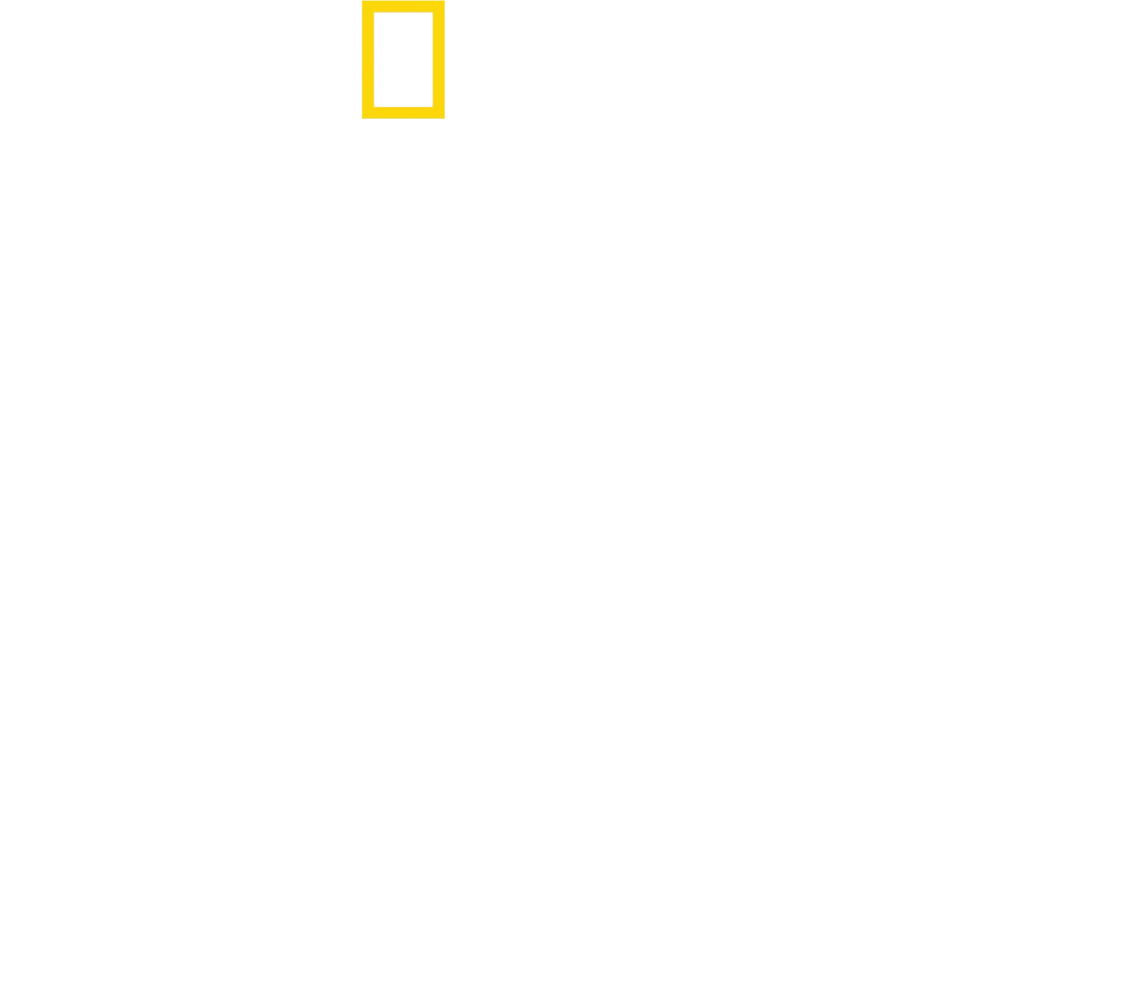 בלינק