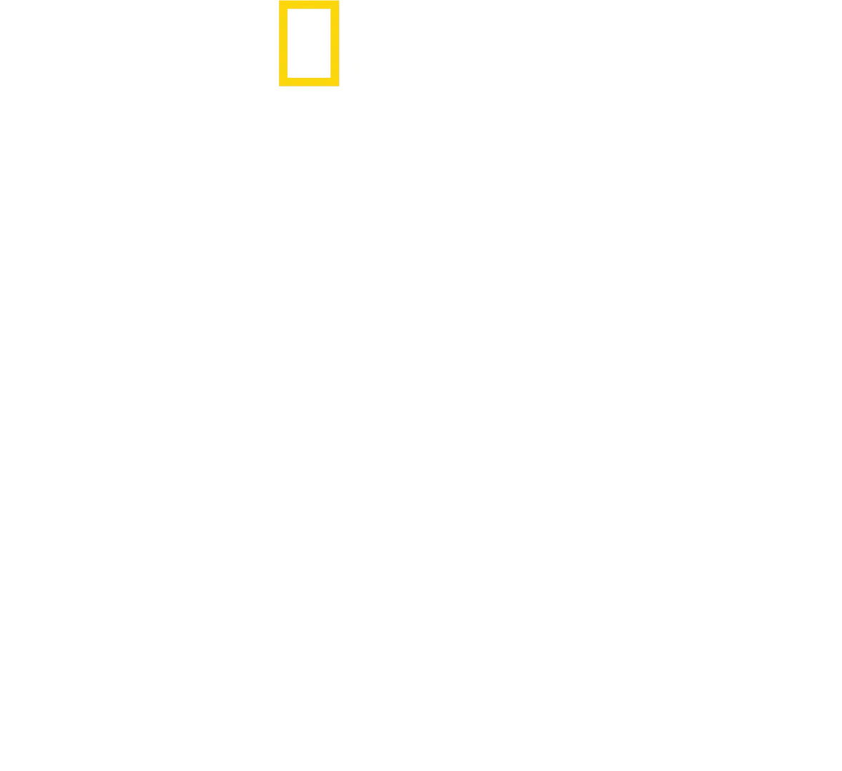 توتشي في إيطاليا