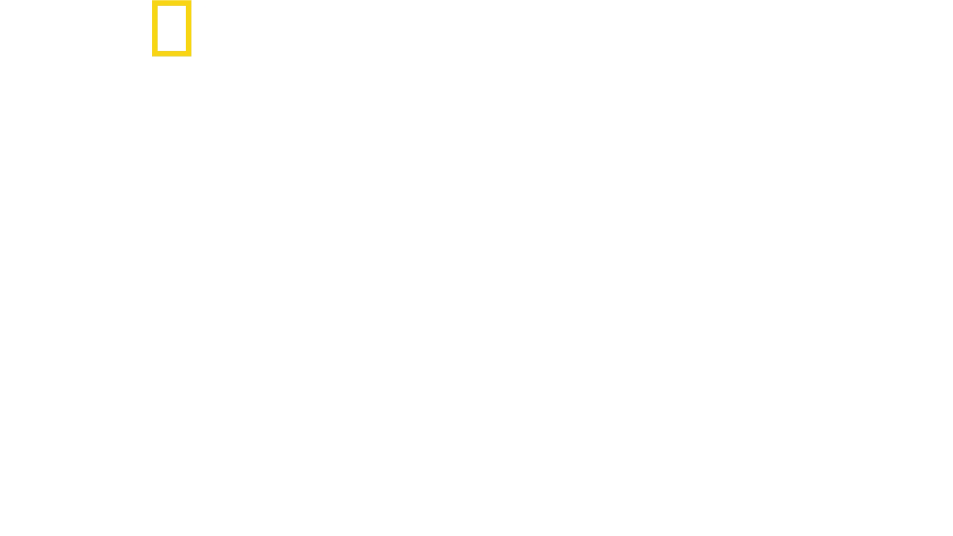 סטנלי טוצ'י באיטליה