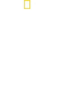 סטנלי טוצ'י באיטליה