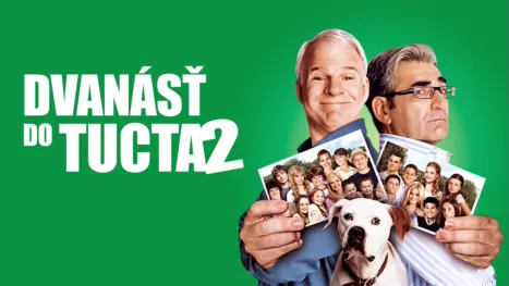 thumbnail - Dvanásť do tucta 2