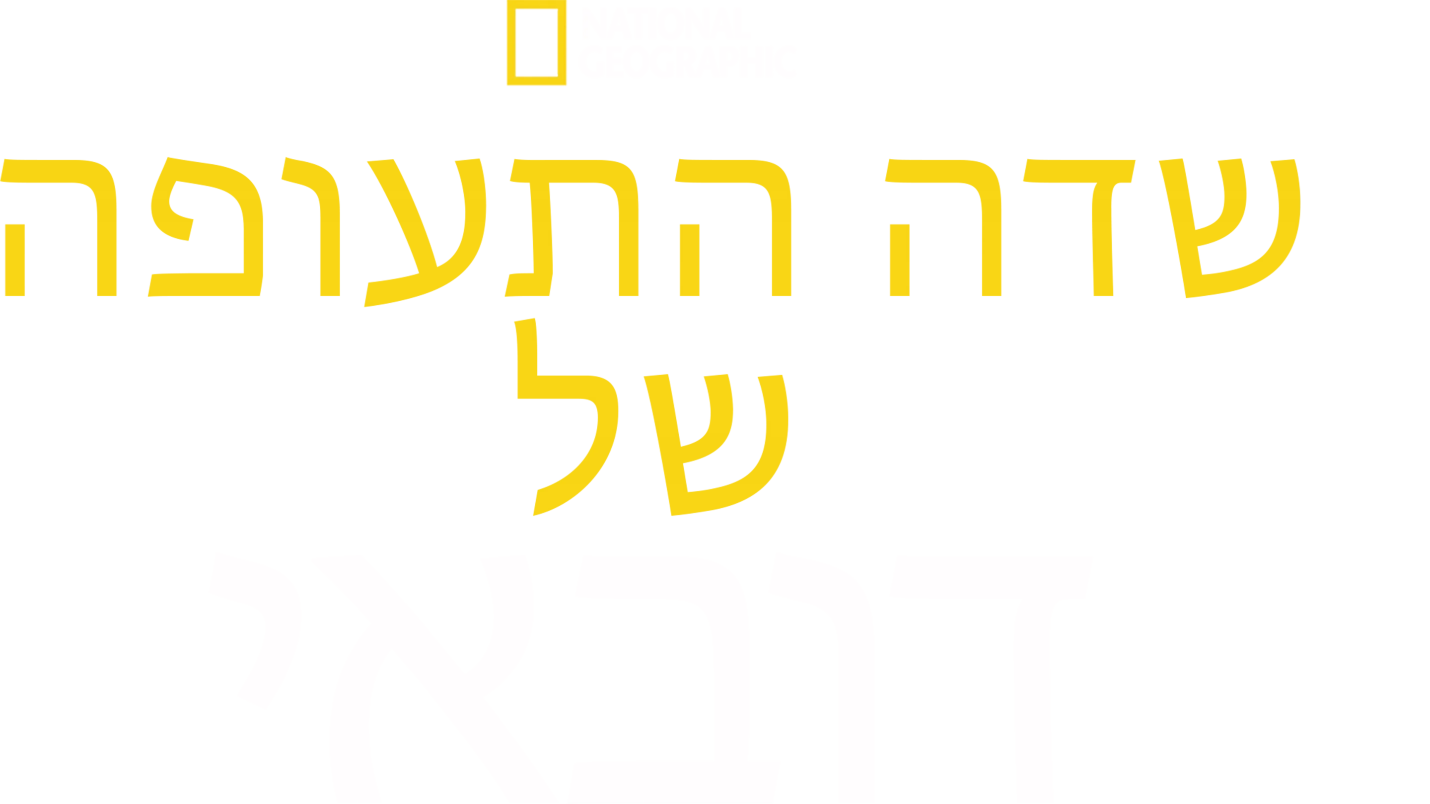 שדה התעופה של דובאי