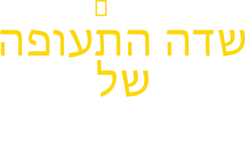 שדה התעופה של דובאי