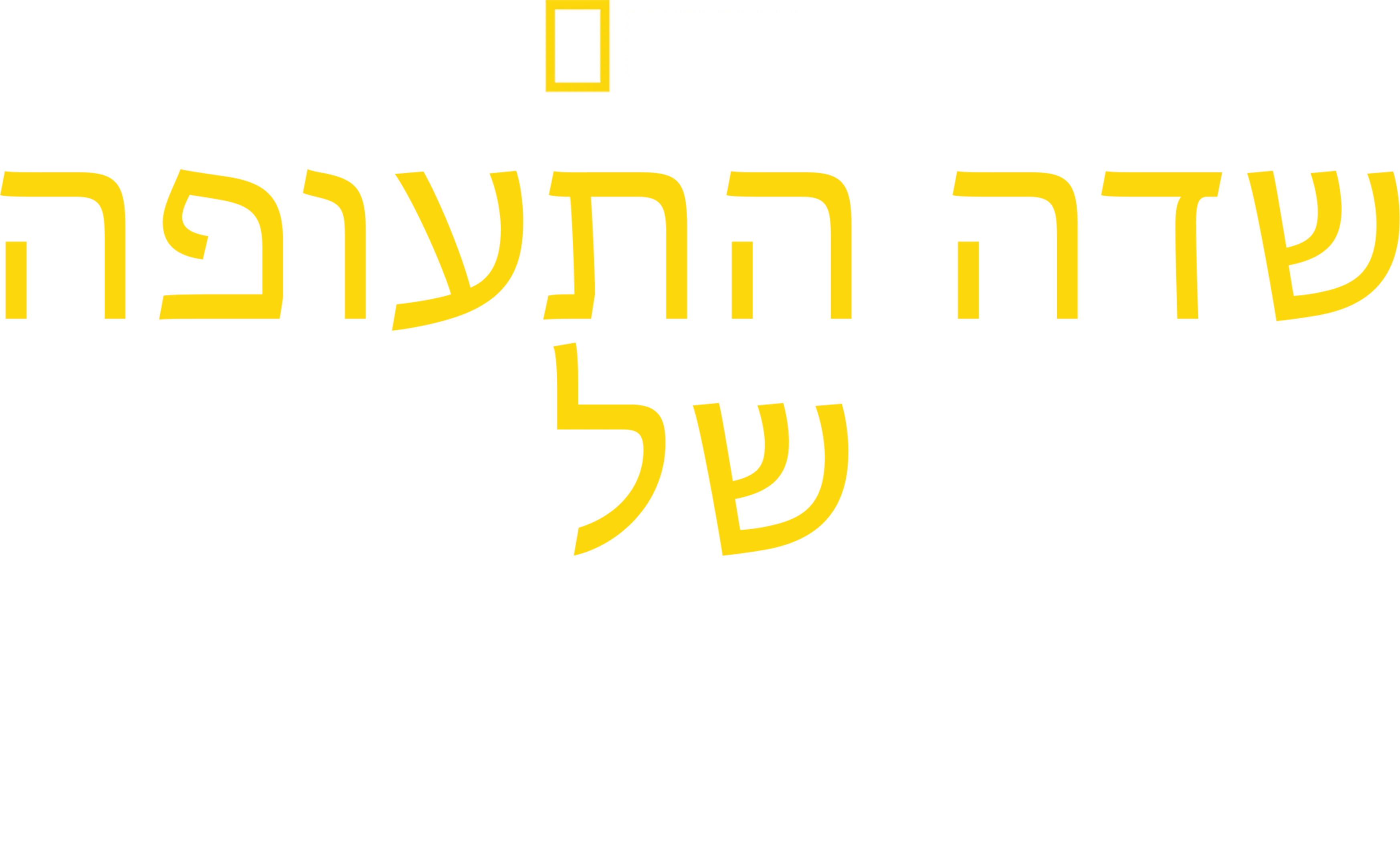 שדה התעופה של דובאי