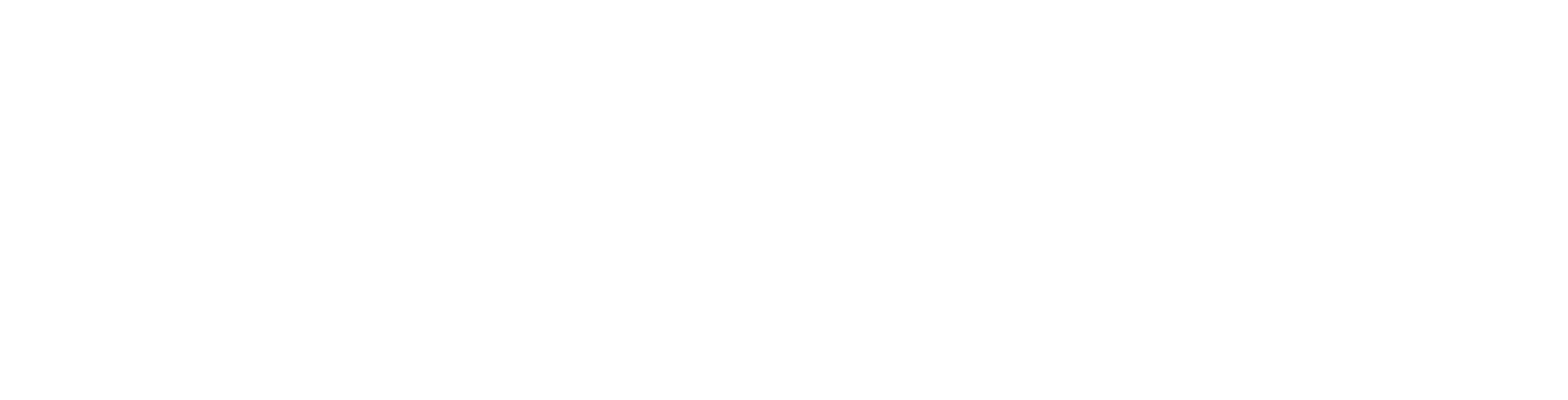 Port Security: Hamburg