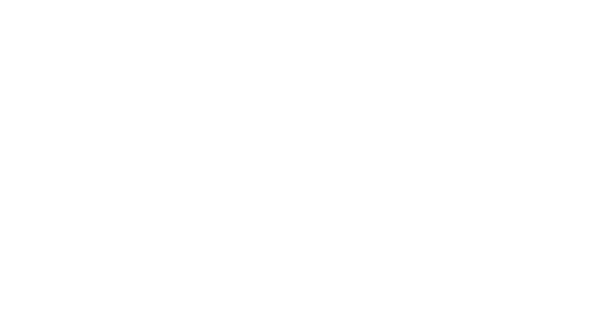 Port Security: Hamburg