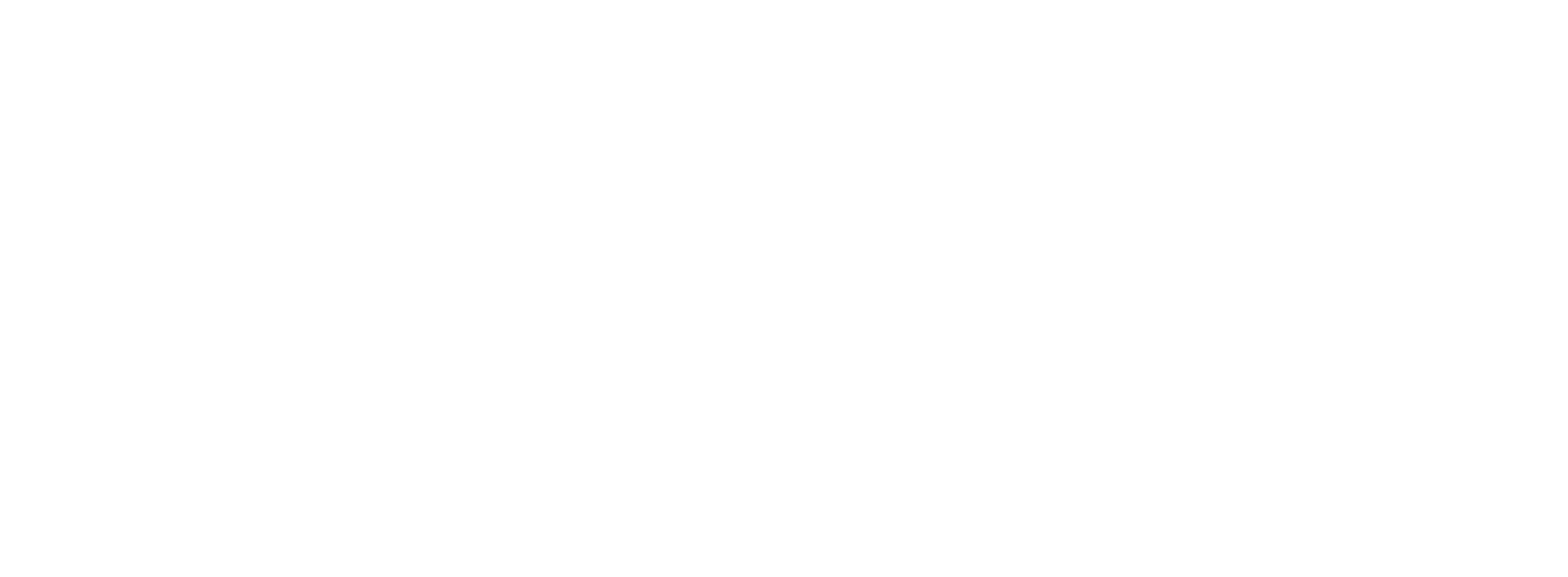 Port Security: Hamburg