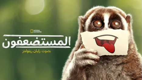 thumbnail - مستضعفون