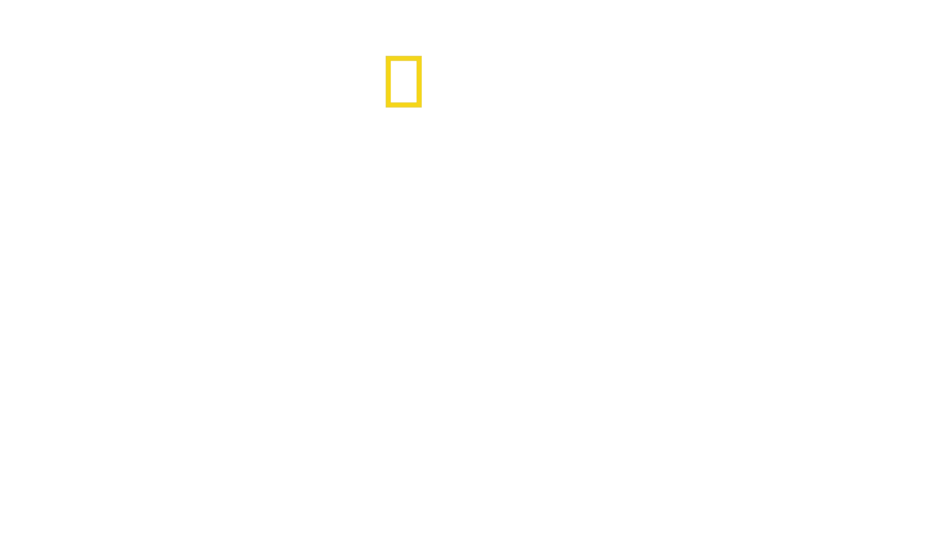 Wildlife Rehab