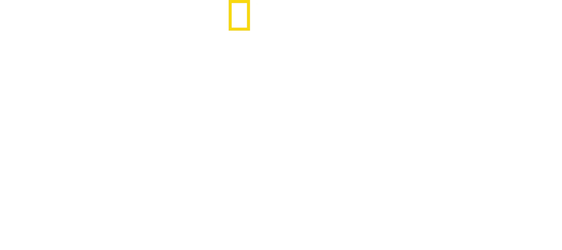 Wildlife Rehab
