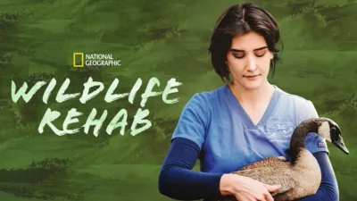 thumbnail - Wildlife Rehab
