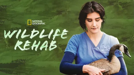 thumbnail - Wildlife Rehab