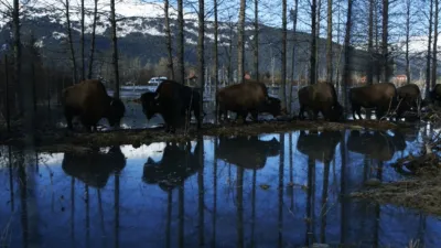 thumbnail - S1:E10 Wild Wild West