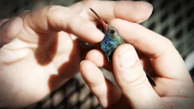 thumbnail - S1:E5 Rocky Mountain High