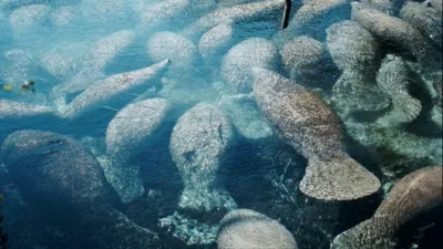 thumbnail - S1:E11 The West Sting