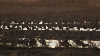 thumbnail - S1:E7 Cranes, Plains and Automobiles