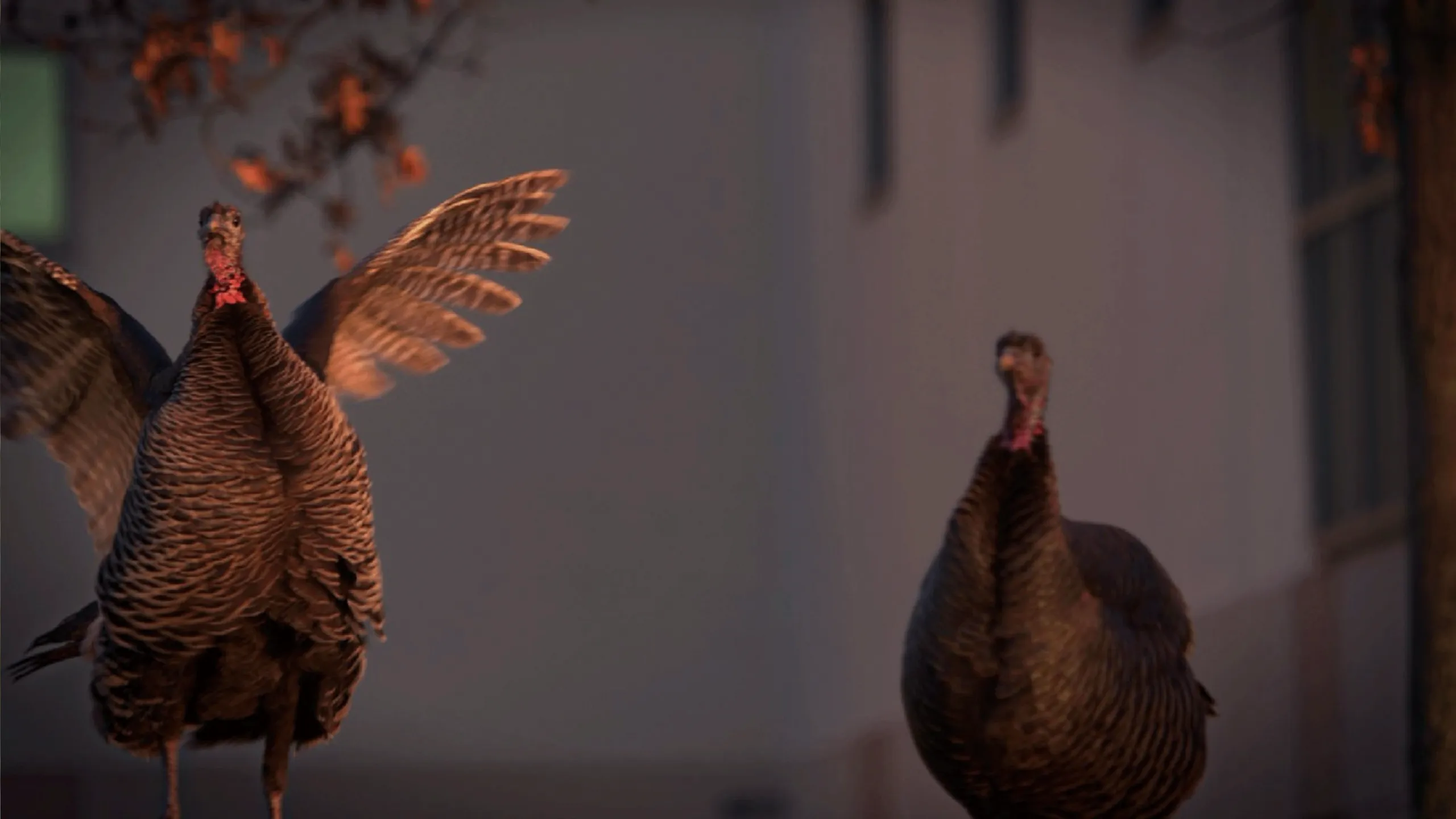 thumbnail - S1:E2 Turkey Gangs of New York