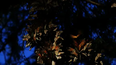 thumbnail - S1:E8 The Other Jersey Shore