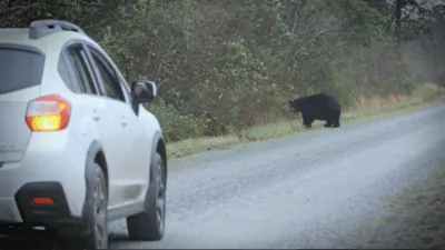 thumbnail - S1:E3 Wolves of Wall Street