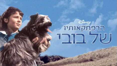 thumbnail - הרפתקאותיו של בובי