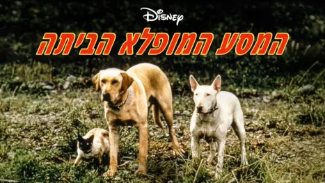 thumbnail - המסע המופלא הביתה