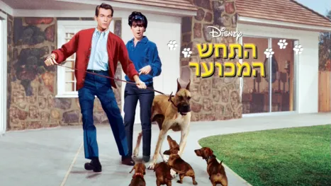 thumbnail - התחש המכוער
