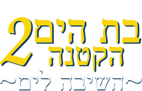 בת הים הקטנה 2: השיבה לים