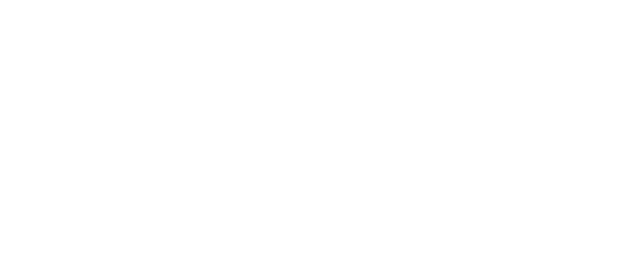 וידויים של שופהוליק