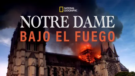 thumbnail - Notre Dame Bajo el Fuego