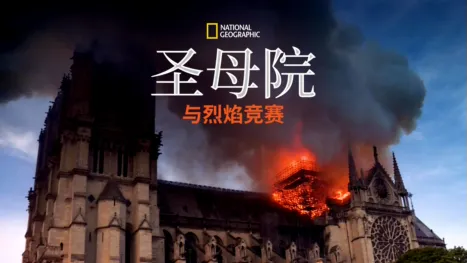 thumbnail - 圣母院: 与烈焰竞赛