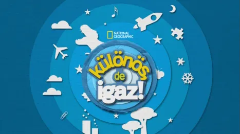 thumbnail - Különös, de igaz!