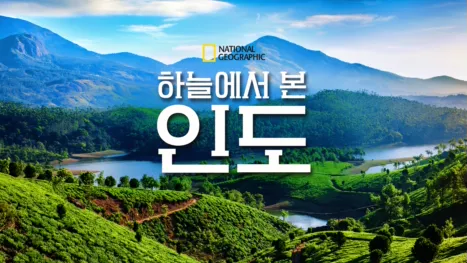 thumbnail - 하늘에서 본 인도