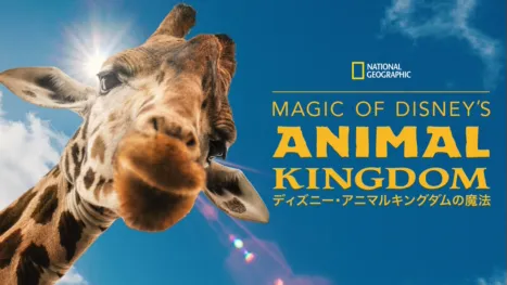 thumbnail - Magic of Disney’s Animal Kingdom　ディズニー・アニマルキングダムの魔法