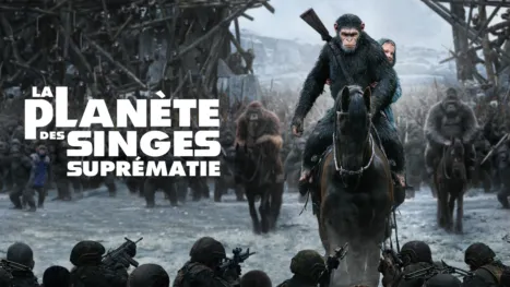 thumbnail - La Planète des Singes - Suprématie