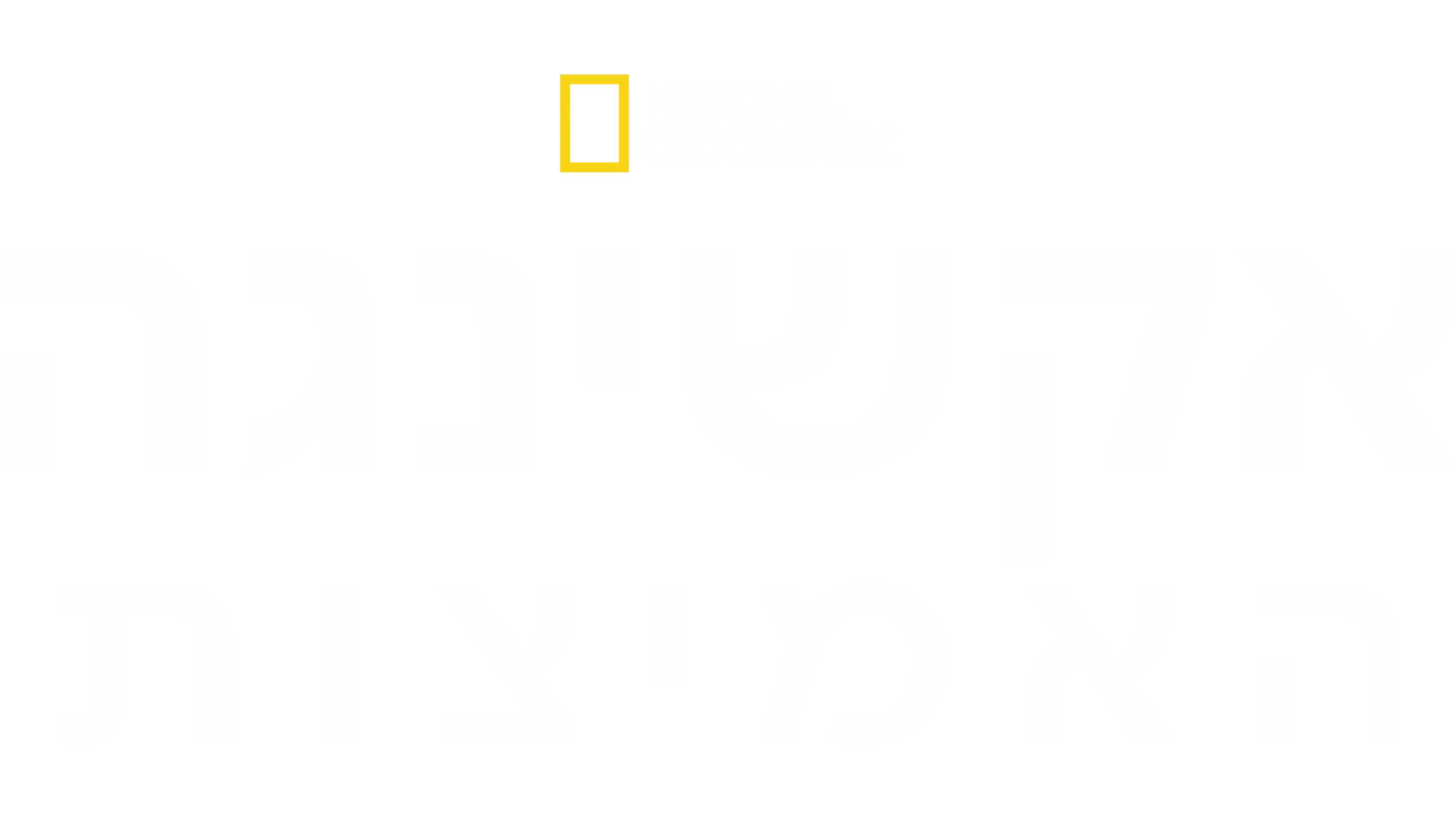 אקשינגה: האמיצות