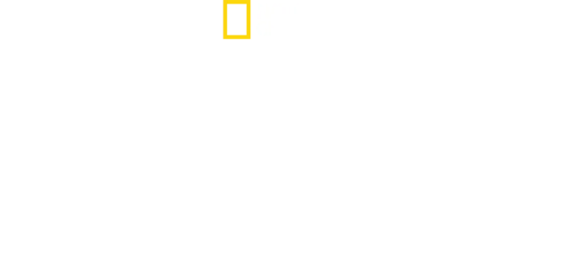 אקשינגה: האמיצות