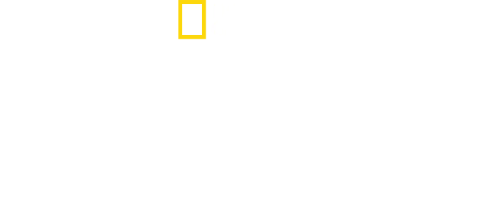 משלחת לאוורסט