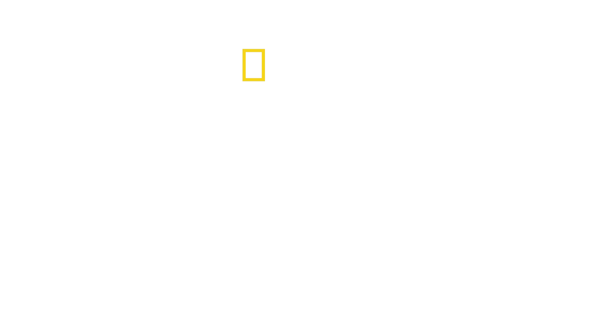 National Geographic: לחוות את כדור הארץ