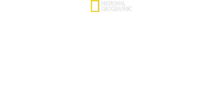 National Geographic: לחוות את כדור הארץ