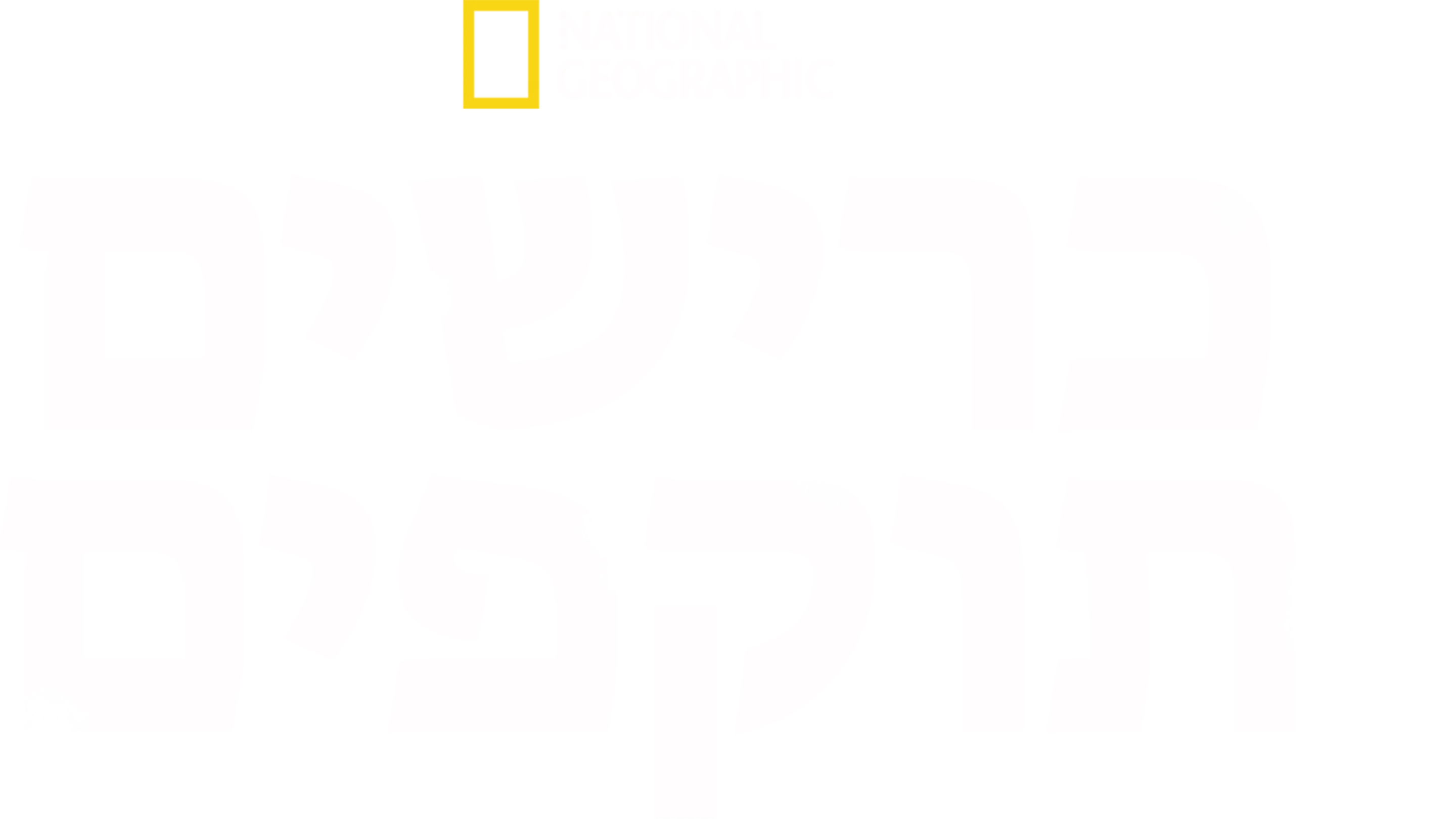 כרישים תוקפים